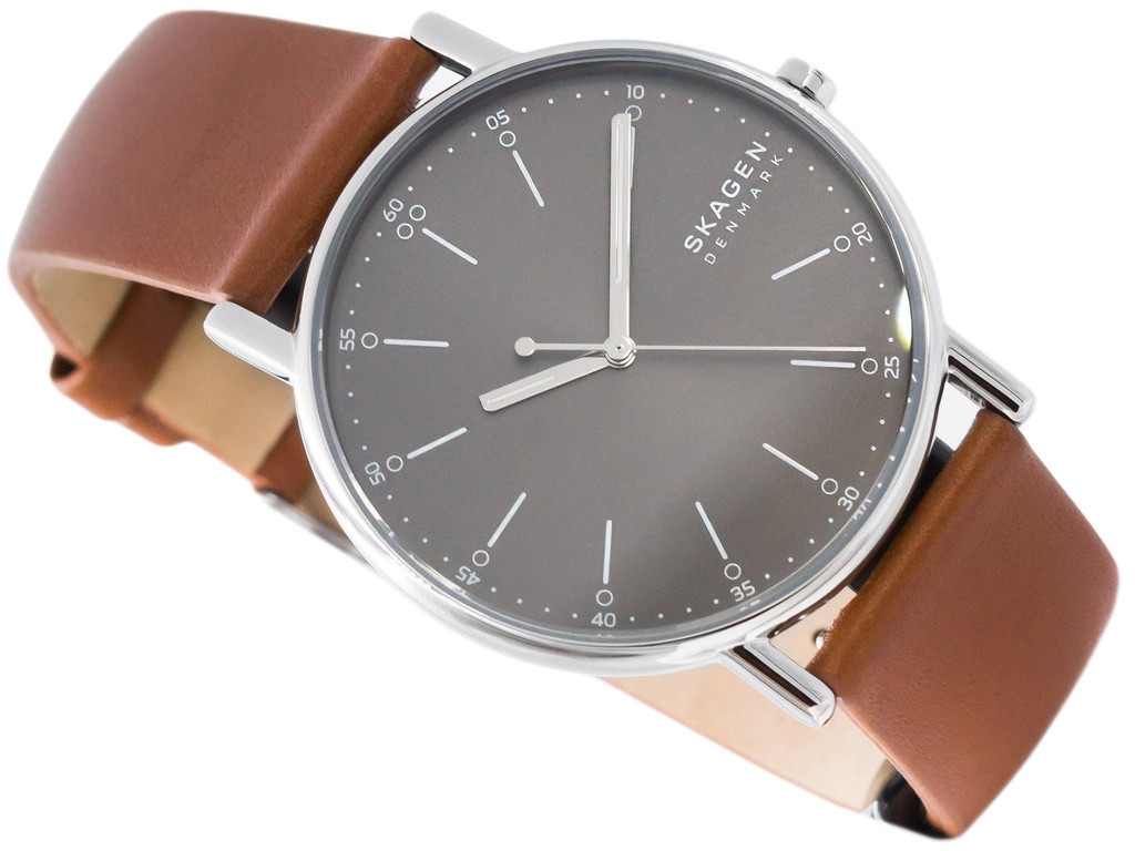 Zegarek męski SKAGEN Signatur SKW6578