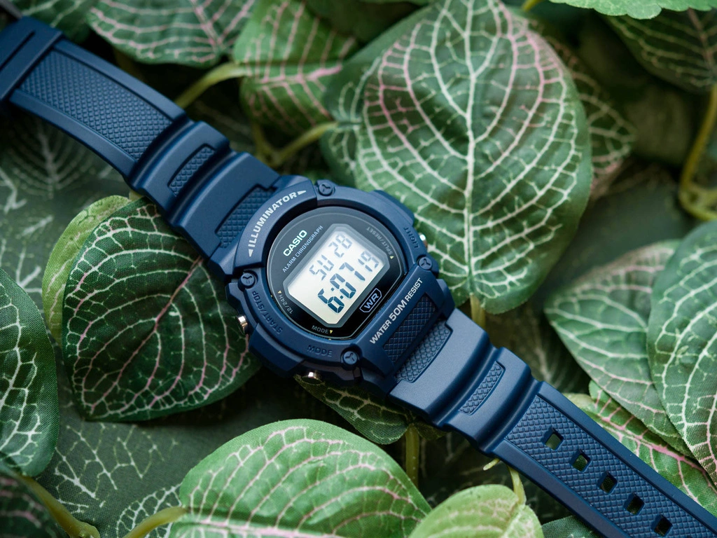 Zegarek męski CASIO W-219H-2AVEF