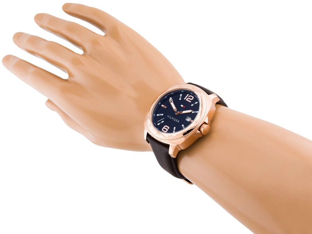 Zegarek męski TOMMY HILFIGER 1791431