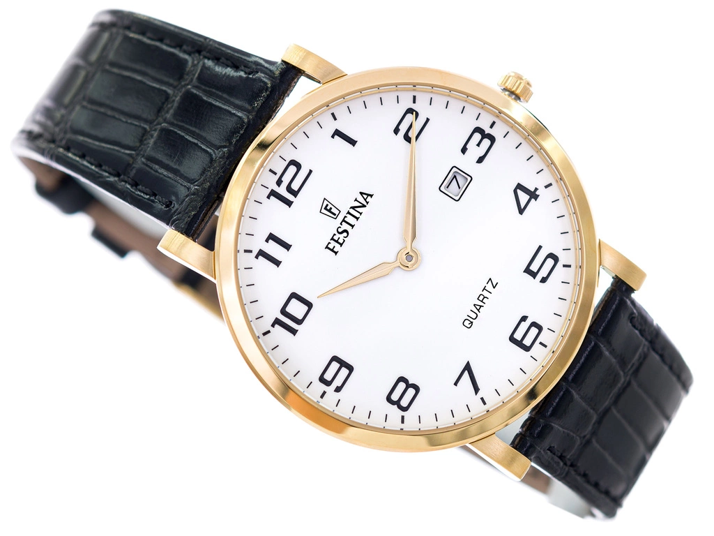 Zegarek męski FESTINA CLASSIC F16478/1