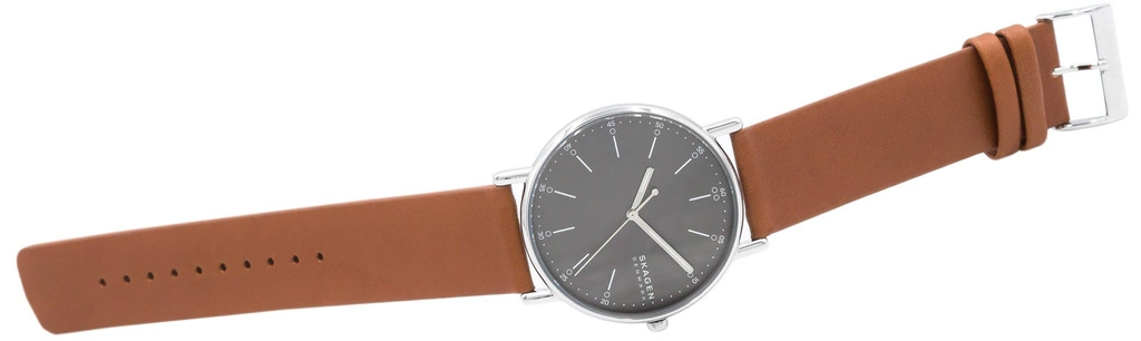 Zegarek męski SKAGEN Signatur SKW6578