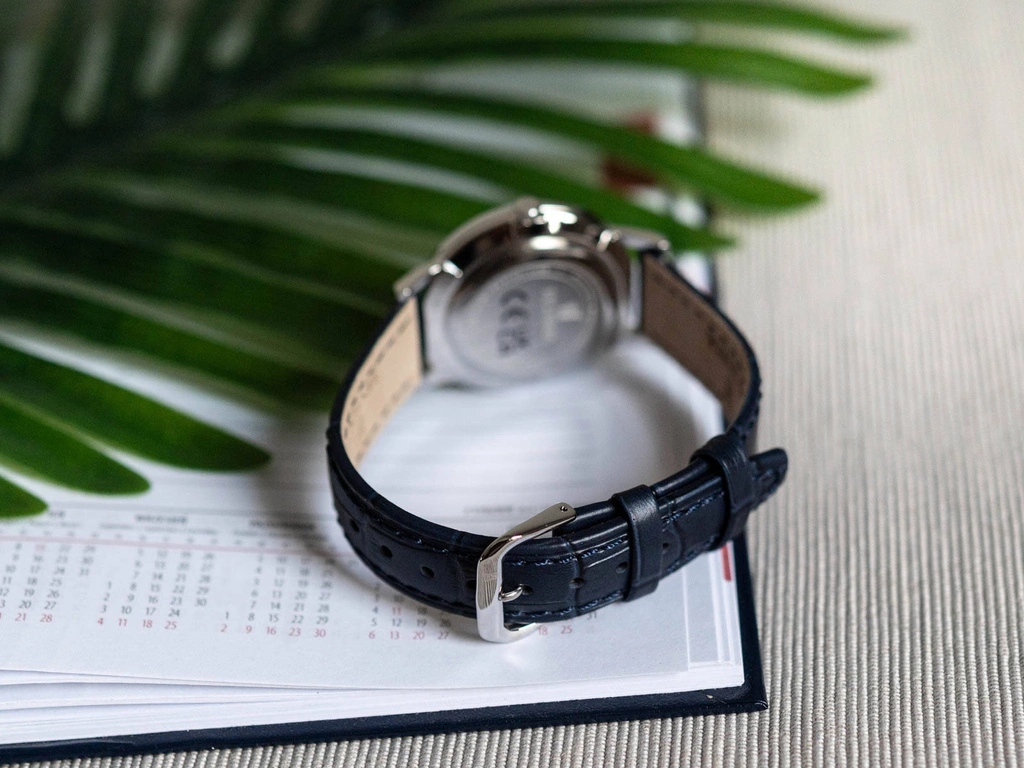 Zegarek męski FESTINA F20690/3 Classic Strap