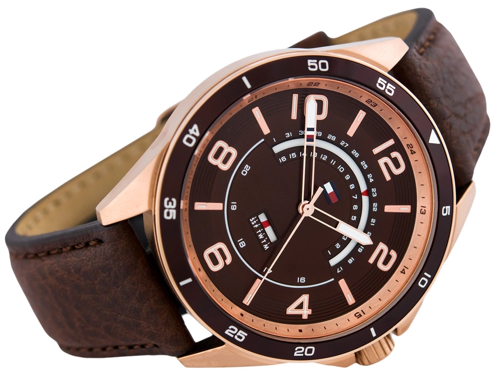 Zegarek męski TOMMY HILFIGER 1791392