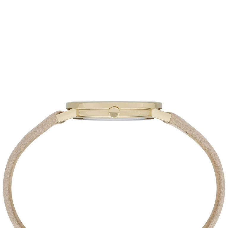 Zegarek Damski PIERRE CARDIN CBV.1503