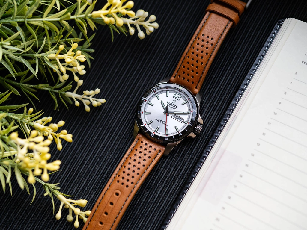 Zegarek męski FESTINA F20699/1 Titanium Date