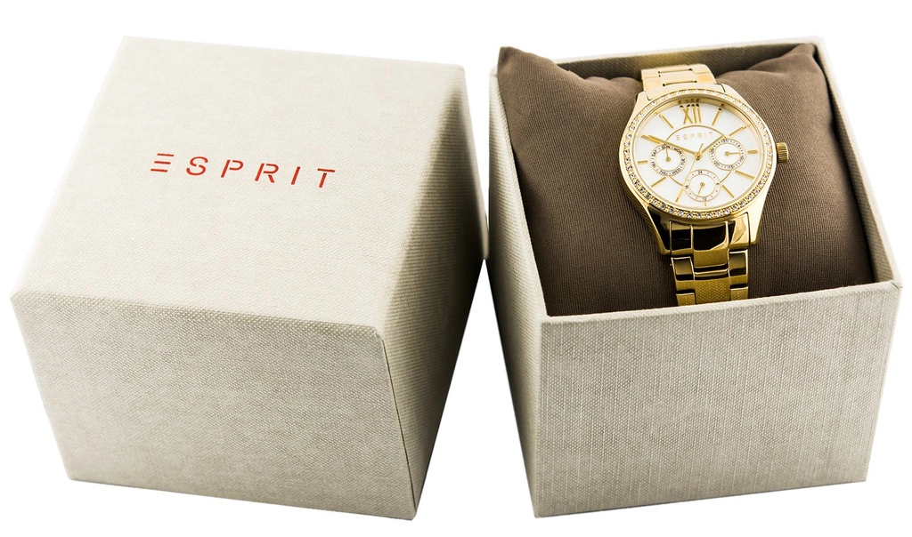 Zegarek męski ESPRIT ES108251003