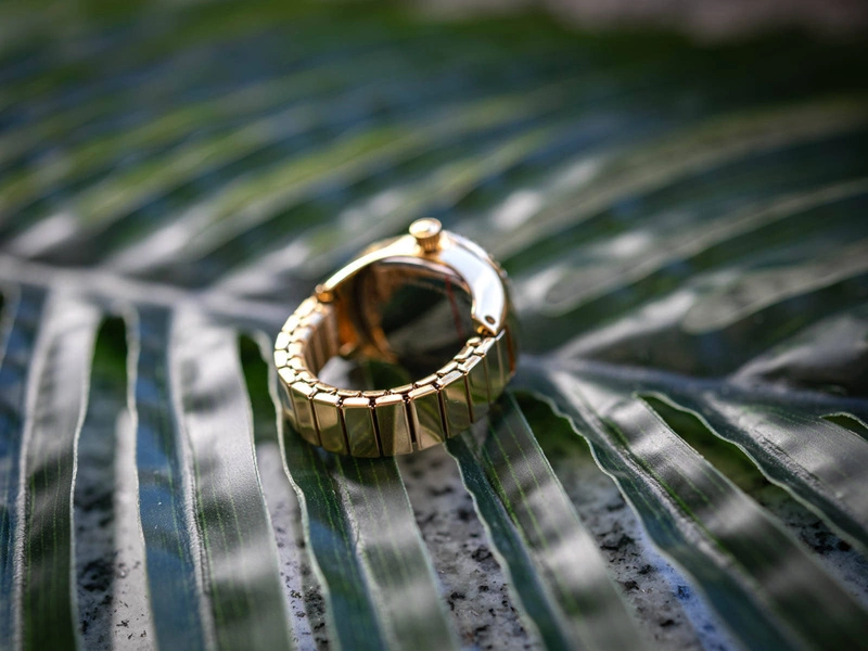 Zegarek damski FOSSIL ES5319 Watch Ring