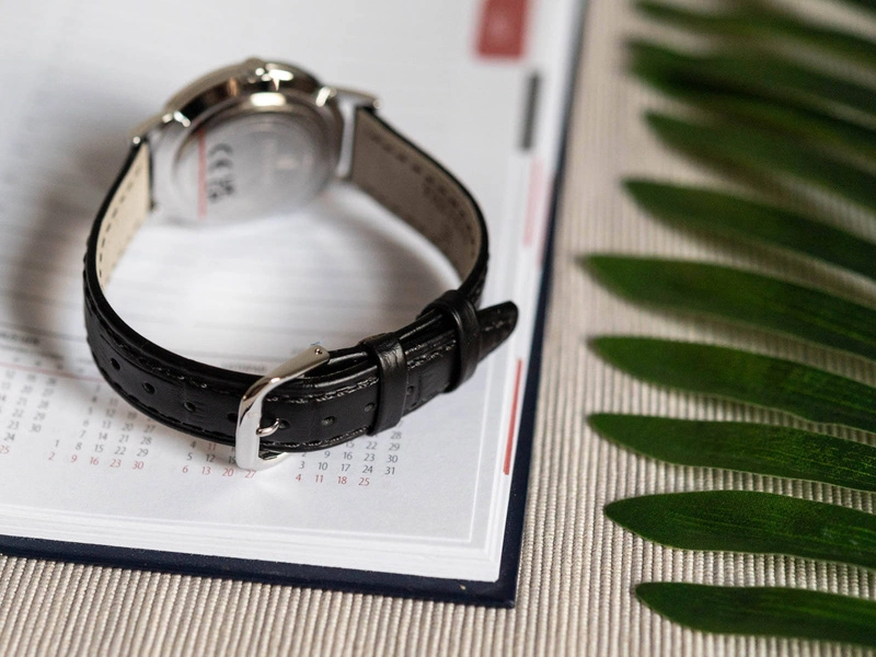 Zegarek męski FESTINA F20690/1 Classic Strap 