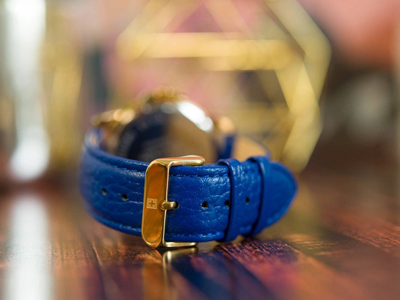 Zegarek męski SWISS ALPINE MILITARY SAM7011.1515