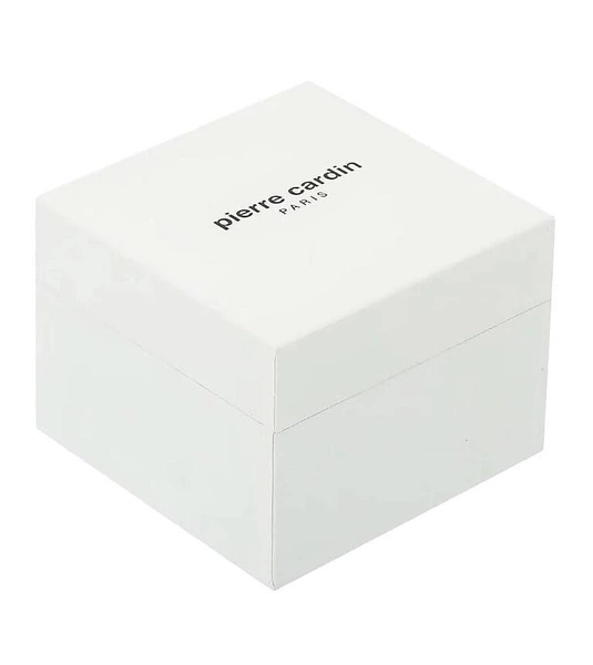 Zegarek męski PIERRE CARDIN PC902671F206