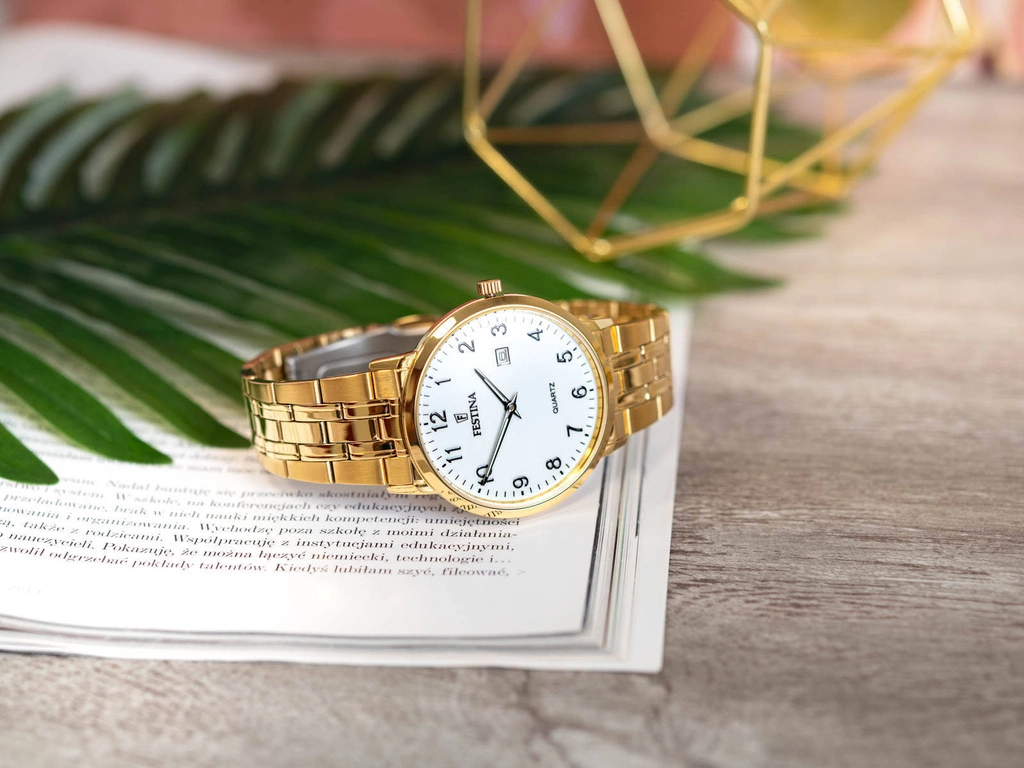 Zegarek męski FESTINA F20513/1 Classic