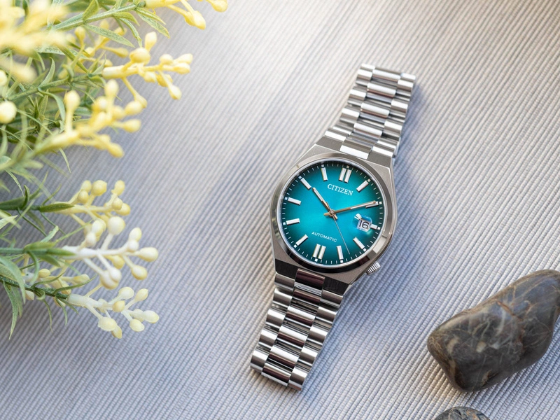 Zegarek męski Citizen NJ0151-88X Automatic