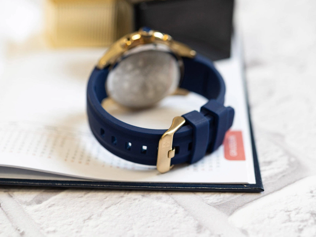 Zegarek męski SWISS ALPINE MILITARY SAM7089.9815