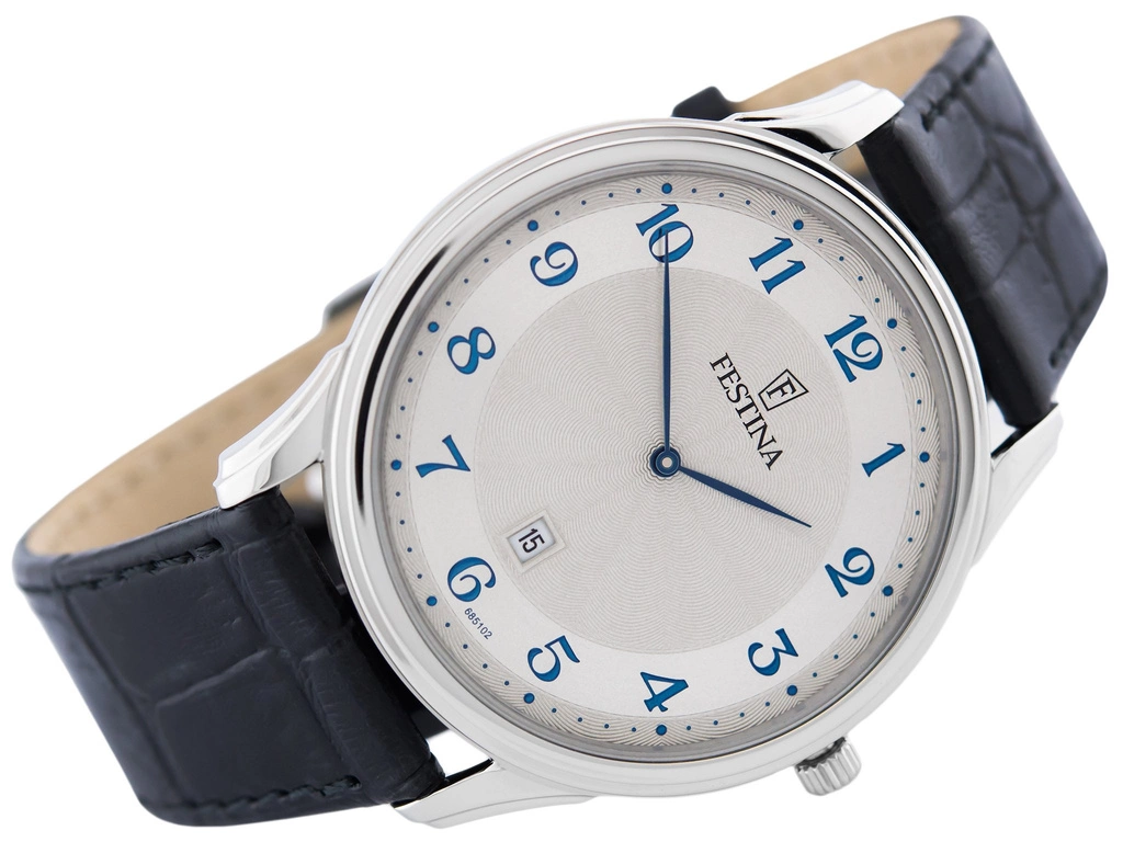 Zegarek męski FESTINA Classic Strap F6851/2