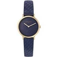 Zegarek Damski PIERRE CARDIN CBV.1505