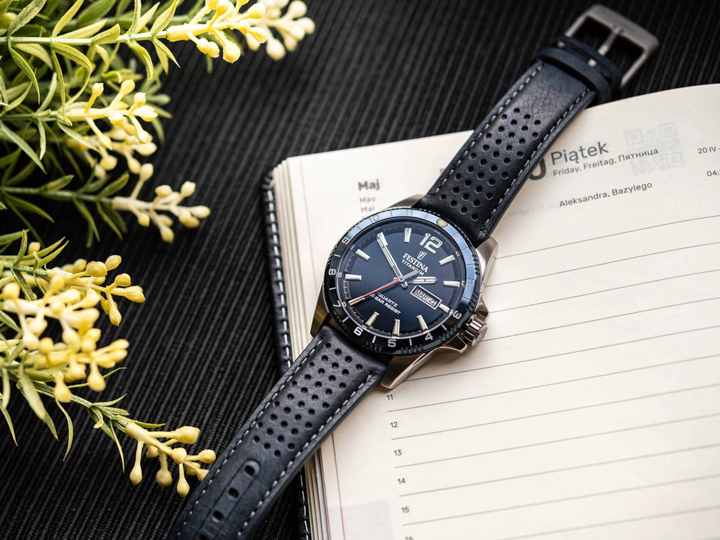 Zegarek męski FESTINA F20699/2 Titanium Date