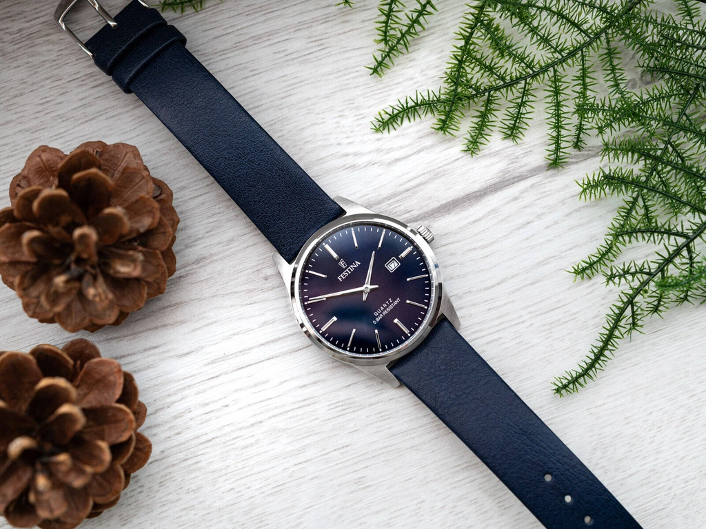 Zegarek męski FESTINA F20512/3 Classic