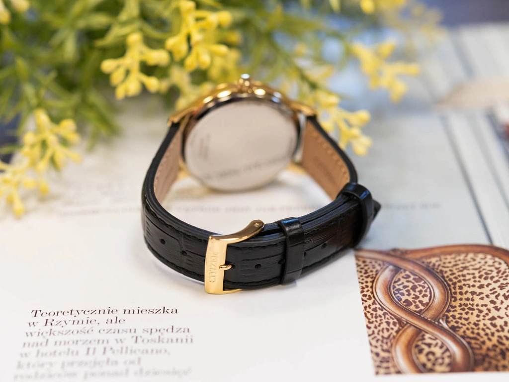 Zegarek męski Citizen BM6756-01A Eco-Drive Elegance