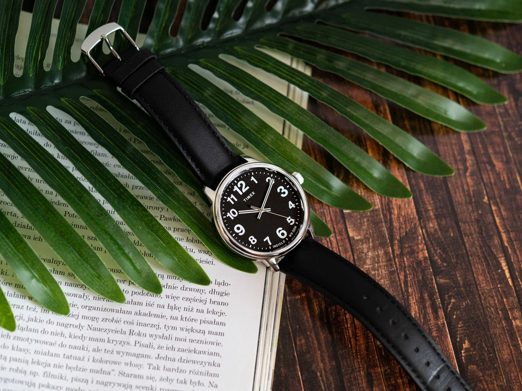 Zegarek męski TIMEX TW2V21400 Easy Reader