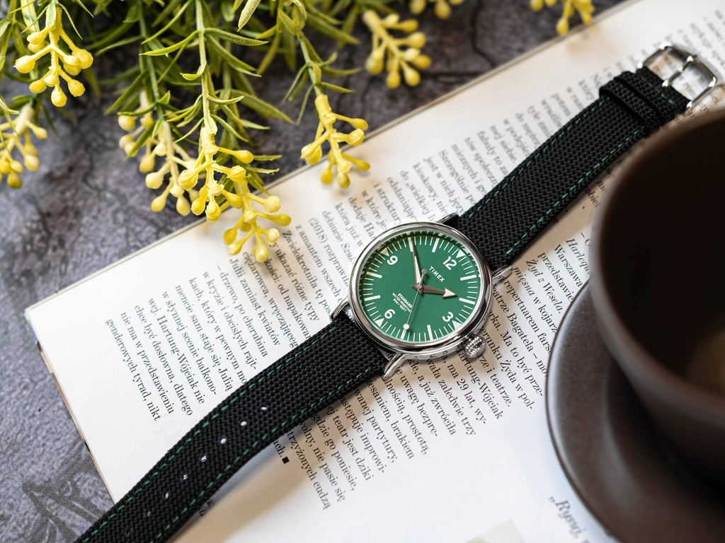 Zegarek męski TIMEX TW2V44200