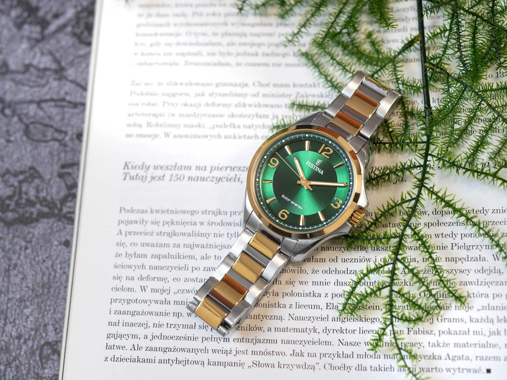 Zegarek męski FESTINA F20657/3 Solar Energy
