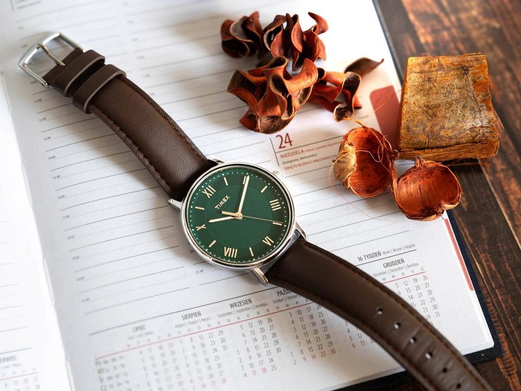 Zegarek męski TIMEX TW2V91500 Southview