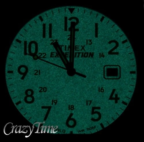 Zegarek męski TIMEX TW4B01900