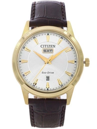 Zegarek męski Citizen AW0102-13A Eco-Drive Leather