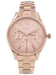 Zegarek damski FOSSIL BQ3691 Rye