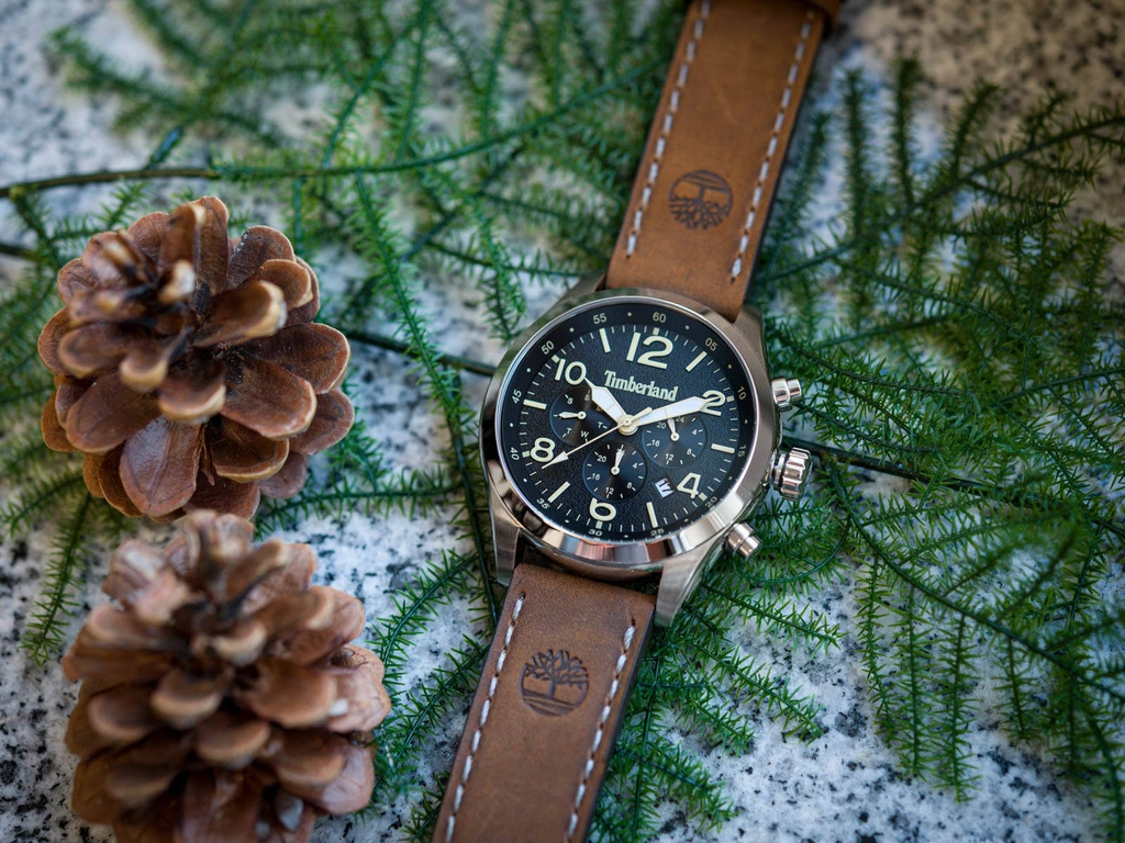 Zegarek męski TIMBERLAND Rutherford TBL.15249JS/02