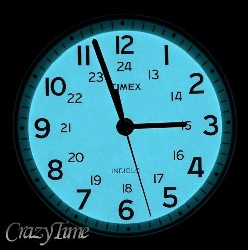 Zegarek męski TIMEX T2P492