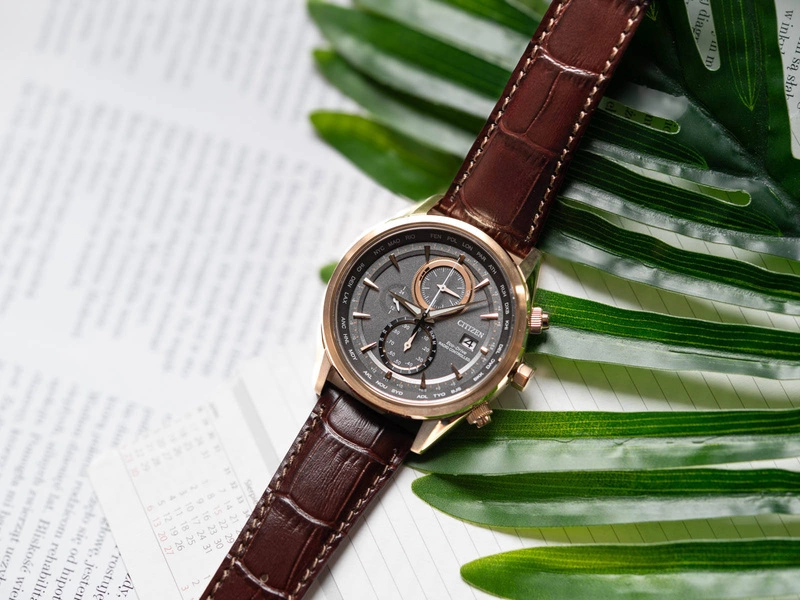 Zegarek męski Citizen AT8263-10H Eco-Drive Elegance Radio Controlled 
