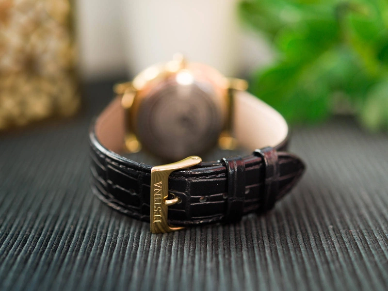 Zegarek męski FESTINA CLASSIC F16478/1