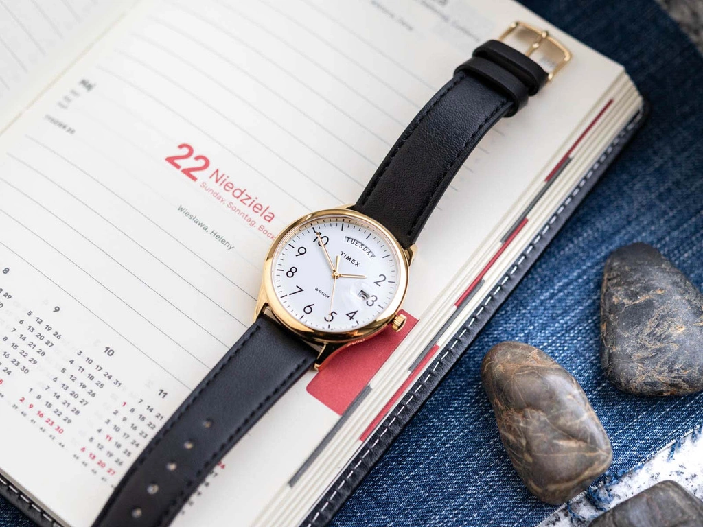 Zegarek męski TIMEX TW2W68500 Easy Reader