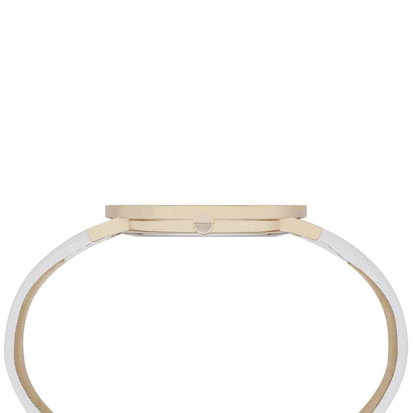 Zegarek Damski PIERRE CARDIN CBV.1012