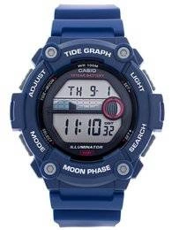 Zegarek męski CASIO WS-1300H-2AVEF