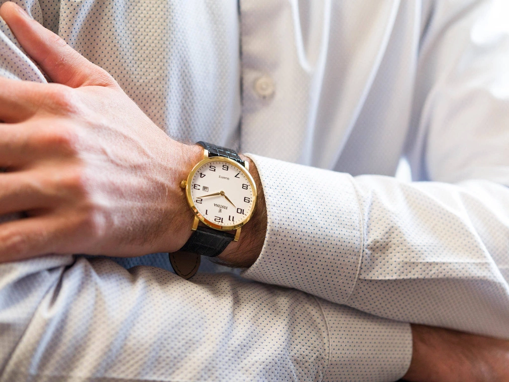 Zegarek męski FESTINA CLASSIC F16478/1