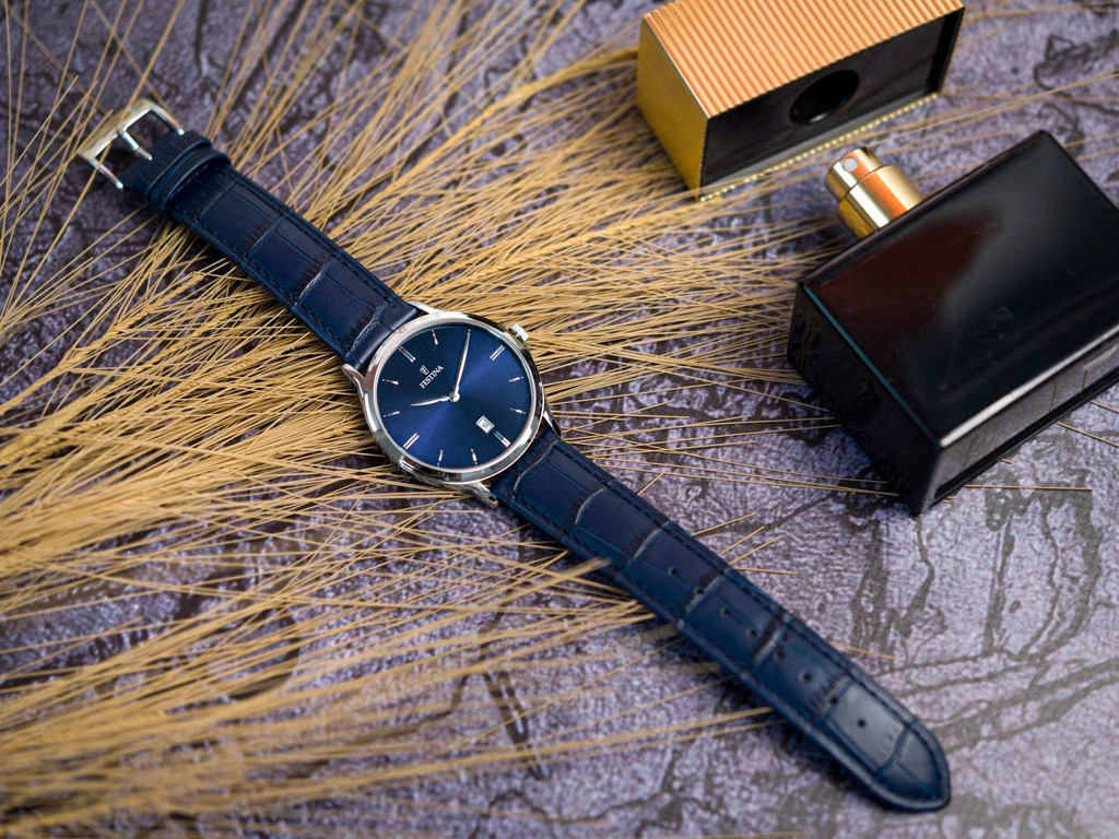 Zegarek męski FESTINA F16745/3 Classic