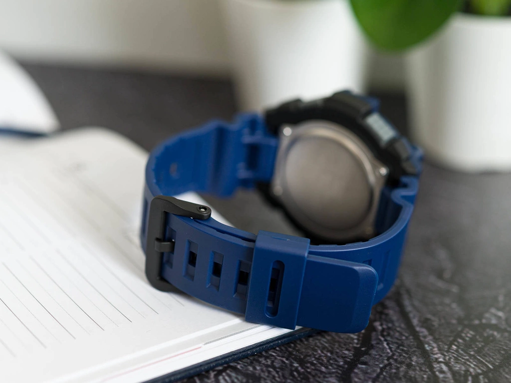 Zegarek męski CASIO WS-1300H-2AVEF