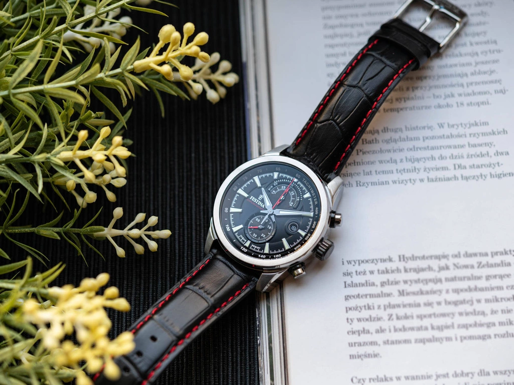 Zegarek męski FESTINA F20695/6 Timeless Chronograph