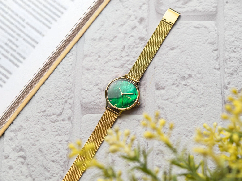 Zegarek damski SKAGEN SKW3145 Anita Lille