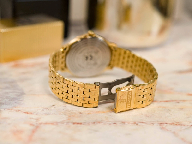 Zegarek męski FESTINA CLASSIC F16746/1 