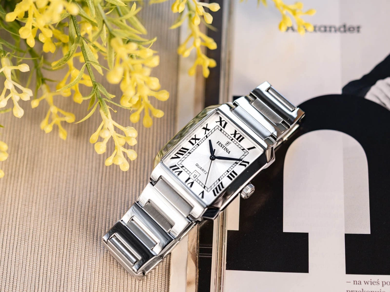 Zegarek męski FESTINA F20677/1 Classic