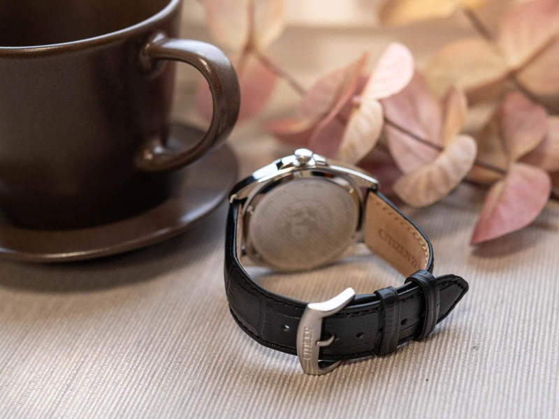 Zegarek męski Citizen BM7108-14E Eco-Drive 