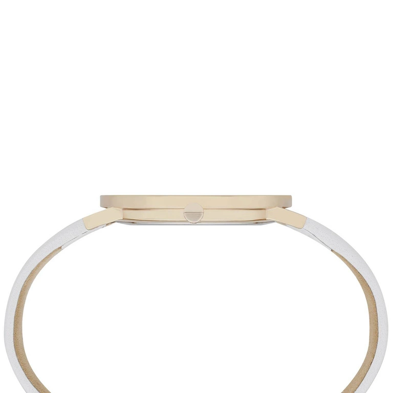 Zegarek Damski PIERRE CARDIN CBV.1012