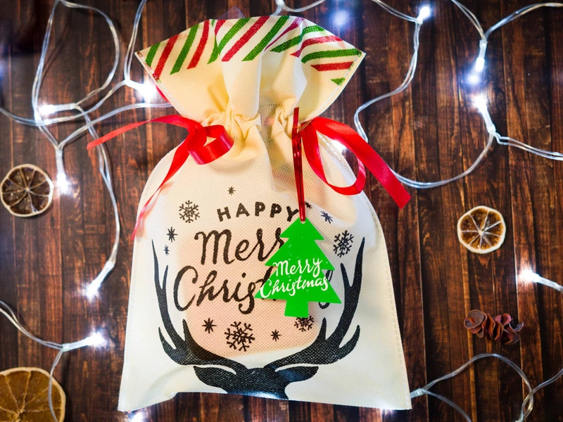 WOREK PREZENTOWY rogi renifera