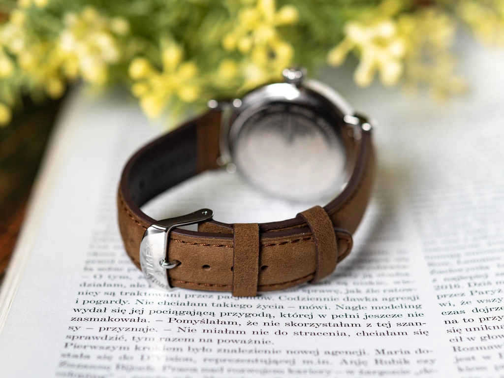 Zegarek męski TIMEX TW2V27800 Standard