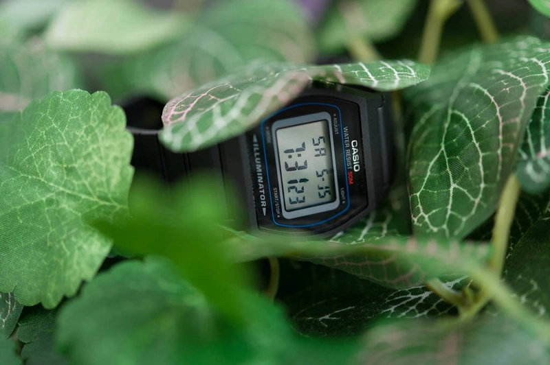 Zegarek męski CASIO W-202-1AVEF