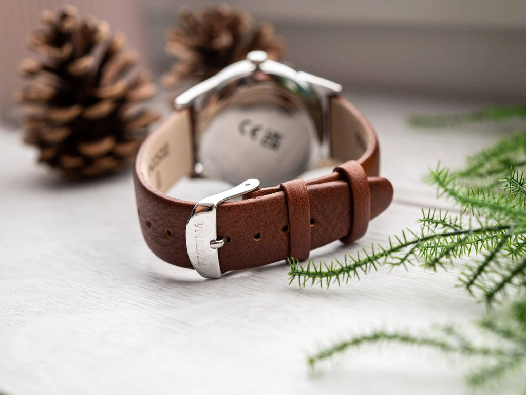 Zegarek męski FESTINA F20512/2 Classic