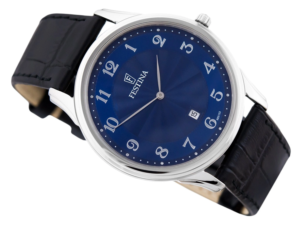 Zegarek męski FESTINA Classic Strap F6851/3